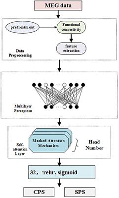 Multi-Head Self-Attention Model for Classification of Temporal Lobe Epilepsy Subtypes